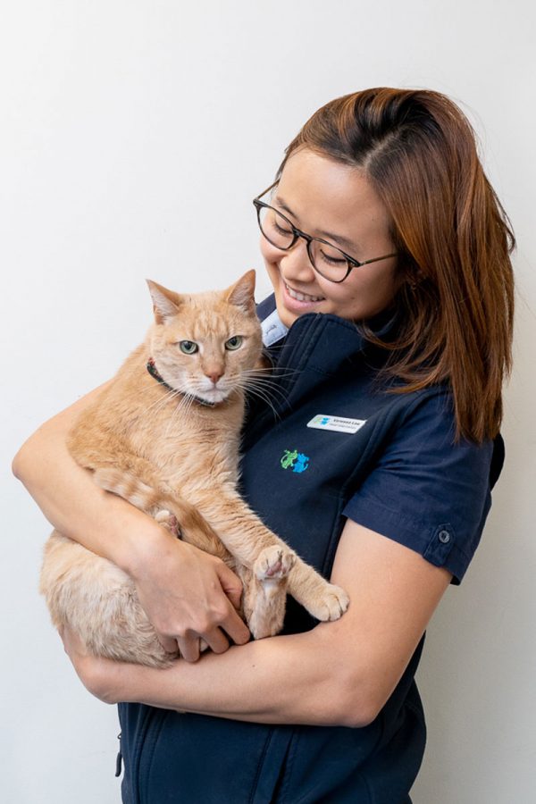 Professional Vet Staff - Vetfriends Chatswood - (02) 9882 3433