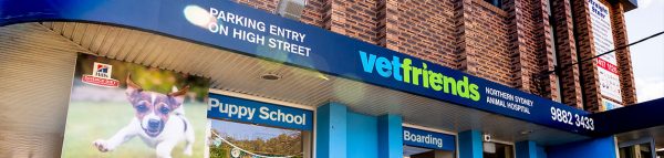 Book Your Veterinary Appointment - Chatswood Vetfriends