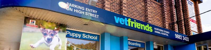 Services - Chatswood Vetfriends